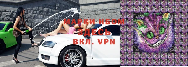 крисы Новокубанск