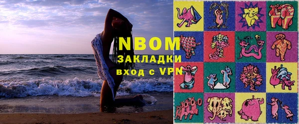индика Новозыбков