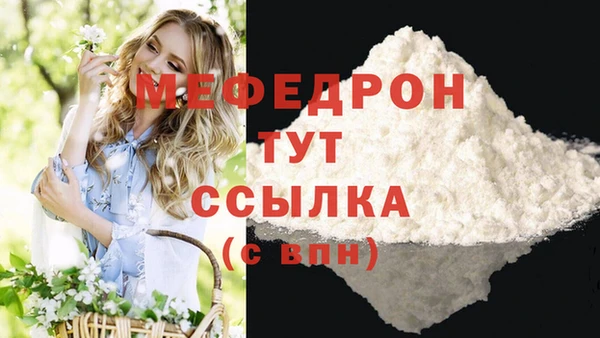 индика Новозыбков