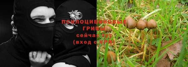 марихуана Нефтекумск