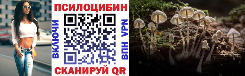Галлюциногенные грибы Cubensis  Ликино-Дулёво 